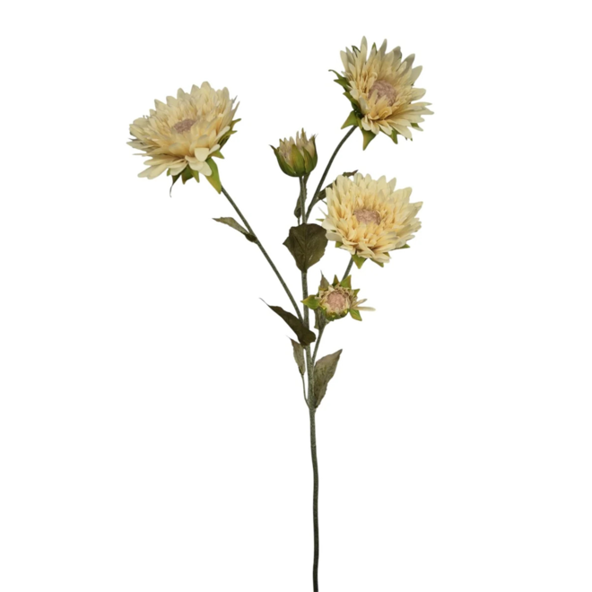 Sunflower | beige | 70 cm