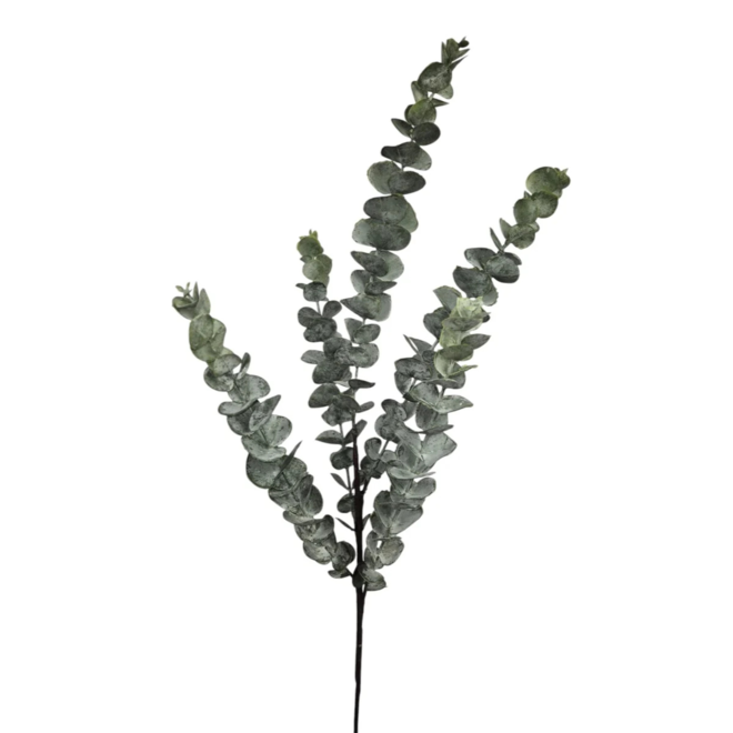 Eucalypthus | grey | 75 cm