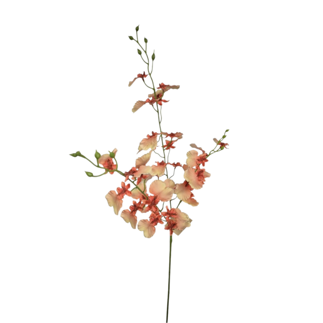 Zijde Orchidee | Roze | 81 cm