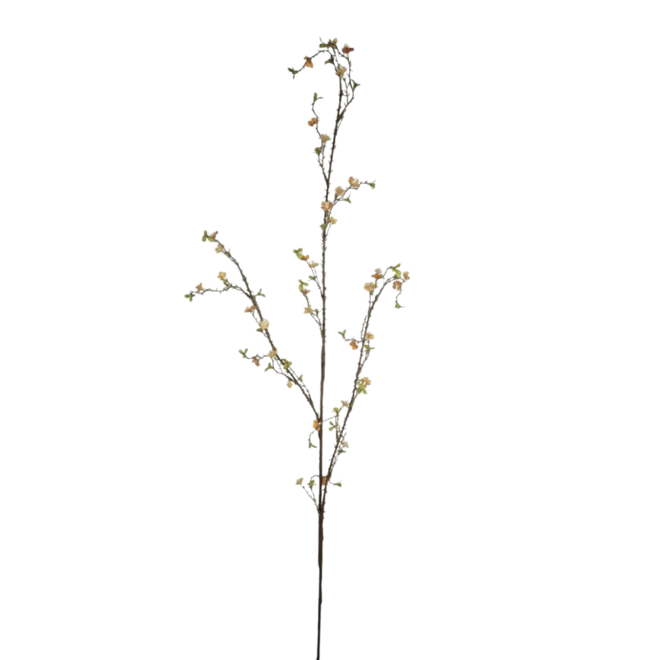 Zijde Waxflower | Perzik | 120 cm