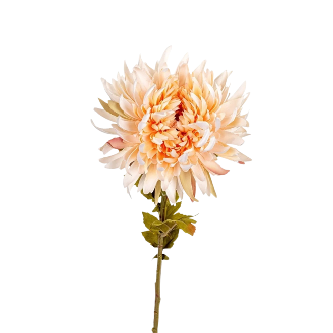 Chrysant Zalm | 62 cm