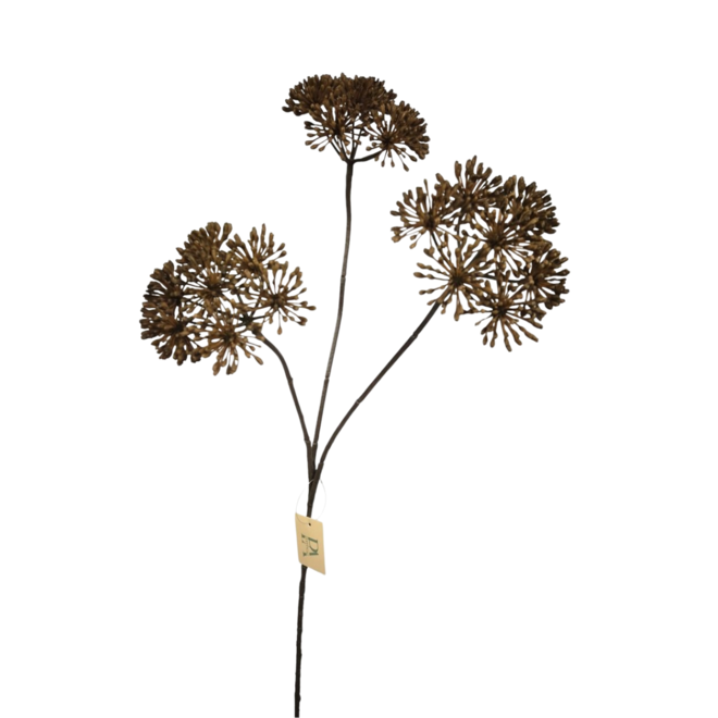 Kunsttak Heracleum Brown | 85cm