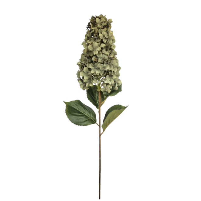 Zijde Pluimhortensia | Groen | 82 cm