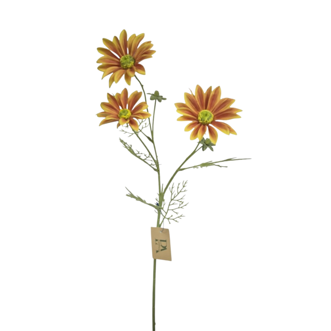 Zijde Spaanse Margriet | Oranje | 61 cm