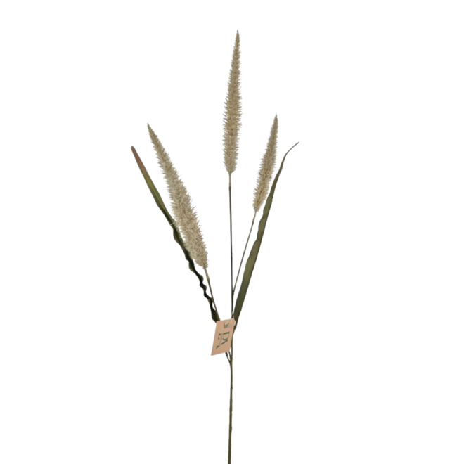 Pennisetum | Beige | 92 cm