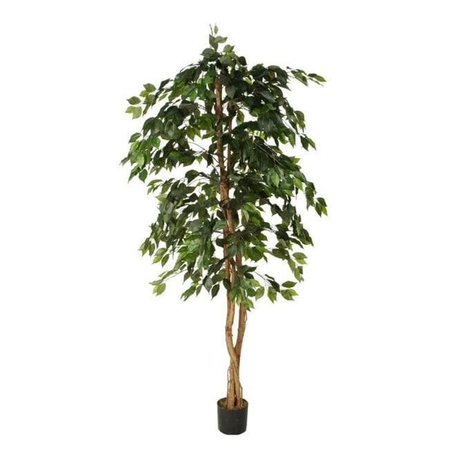 Kunstboom Ficus h180 cm