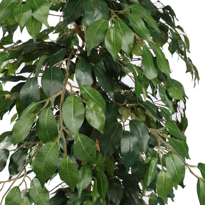 Kunstboom Ficus h180 cm