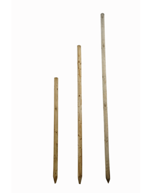 Boompaal met boomband en nagels