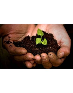 Aanplantgrond Bio van Culvita