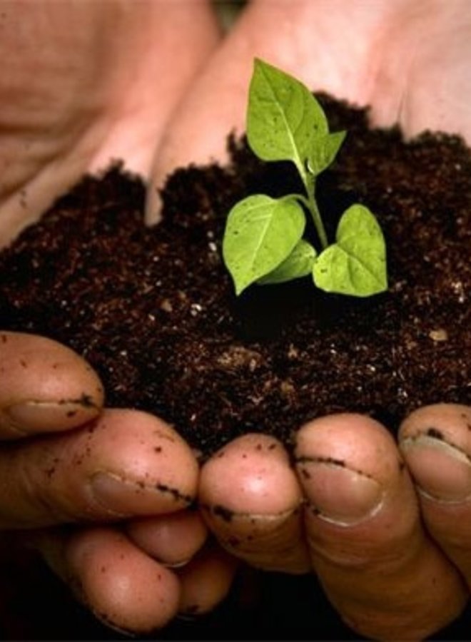 Aanplantgrond Bio van Culvita