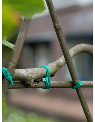 Bindbuis  groen/grijs