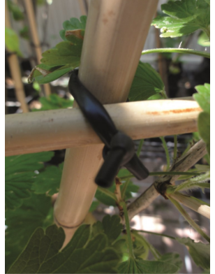 Bindbuis op spoel zwart