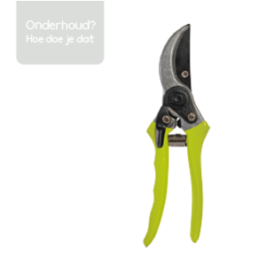 Zo onderhoud je jouw groene vriend