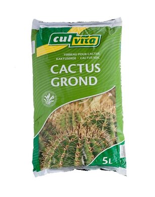 Cactusgrond | Culvita