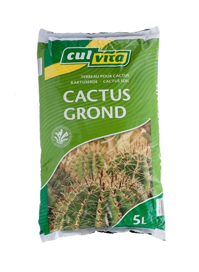 Cactusgrond | Culvita