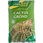 Cactusgrond | Culvita