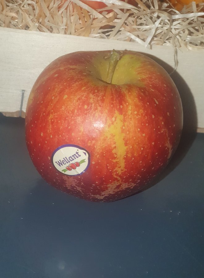 Appelboom | Malus domestica Wellant