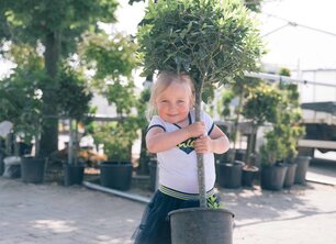 Een nieuwe boom planten, maar wanneer?