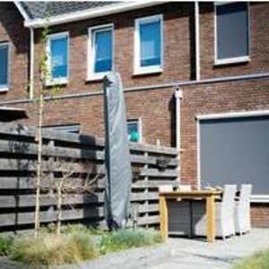 Deze bomen zijn geschikt voor in een kleine tuin