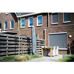 Deze bomen zijn geschikt voor in een kleine tuin