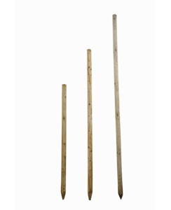 Boompaal 200 cm met boomband