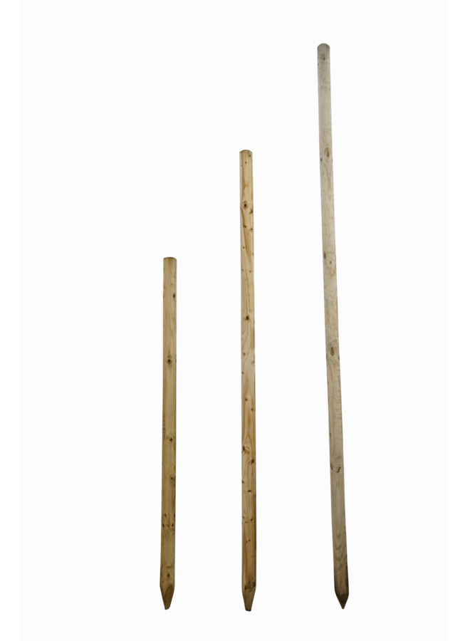 Boompaal 200 cm met boomband