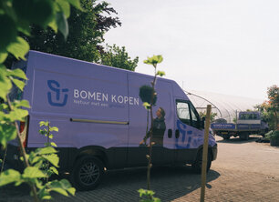Wat is de beste dakboom voor in mijn tuin?