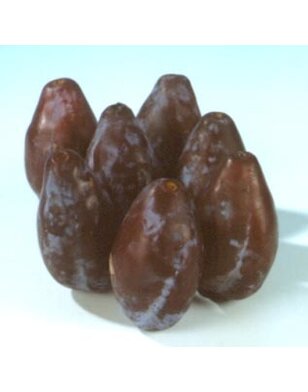 Lei-pruimenboom | Prunus domestica Betuwse Kwets