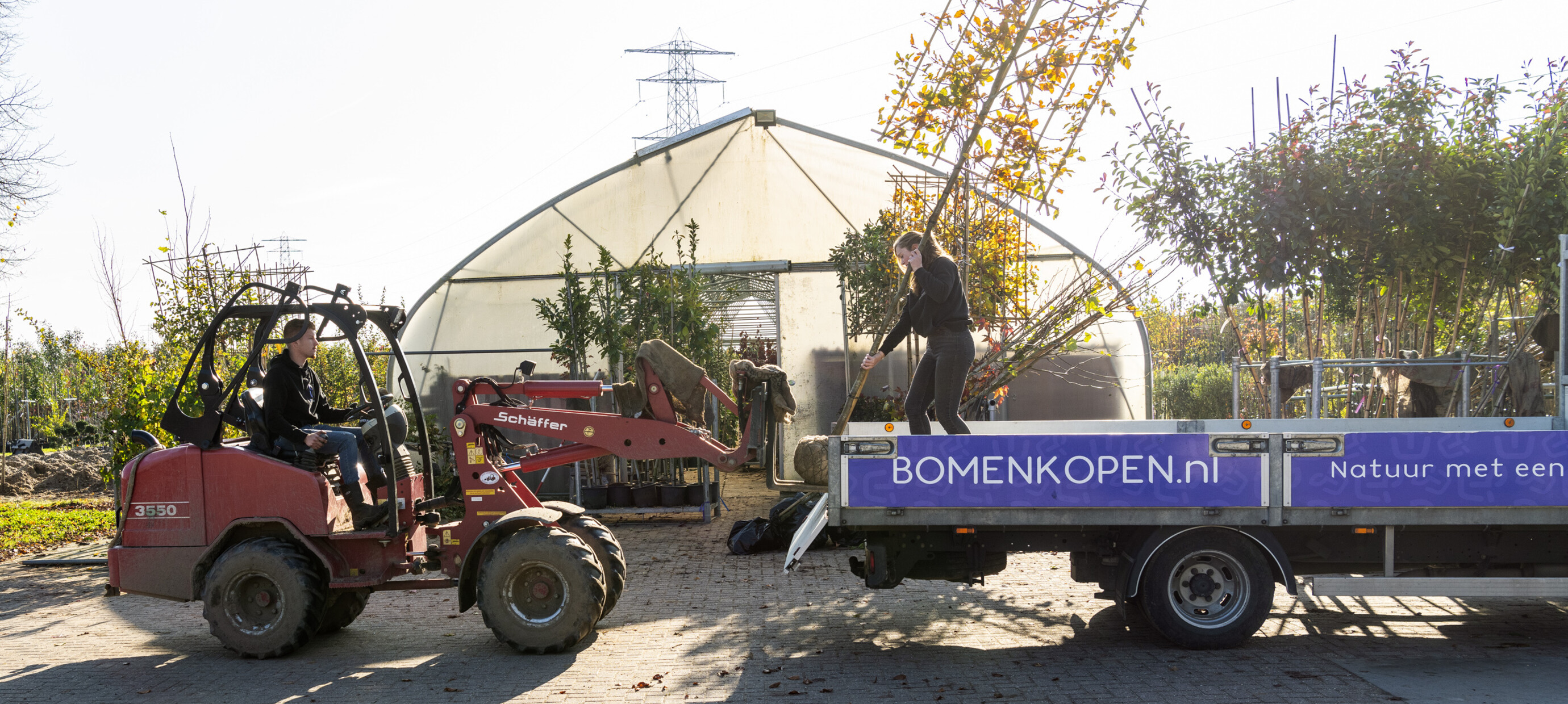 Bomen aanplanten in Juni? Jazeker!