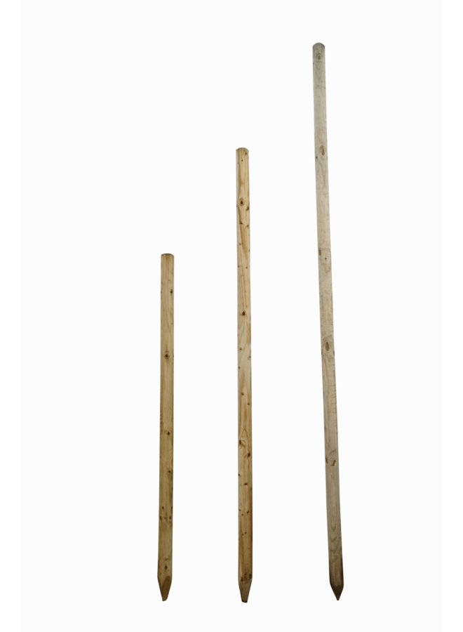 Set van 2 Boompalen  250 cm