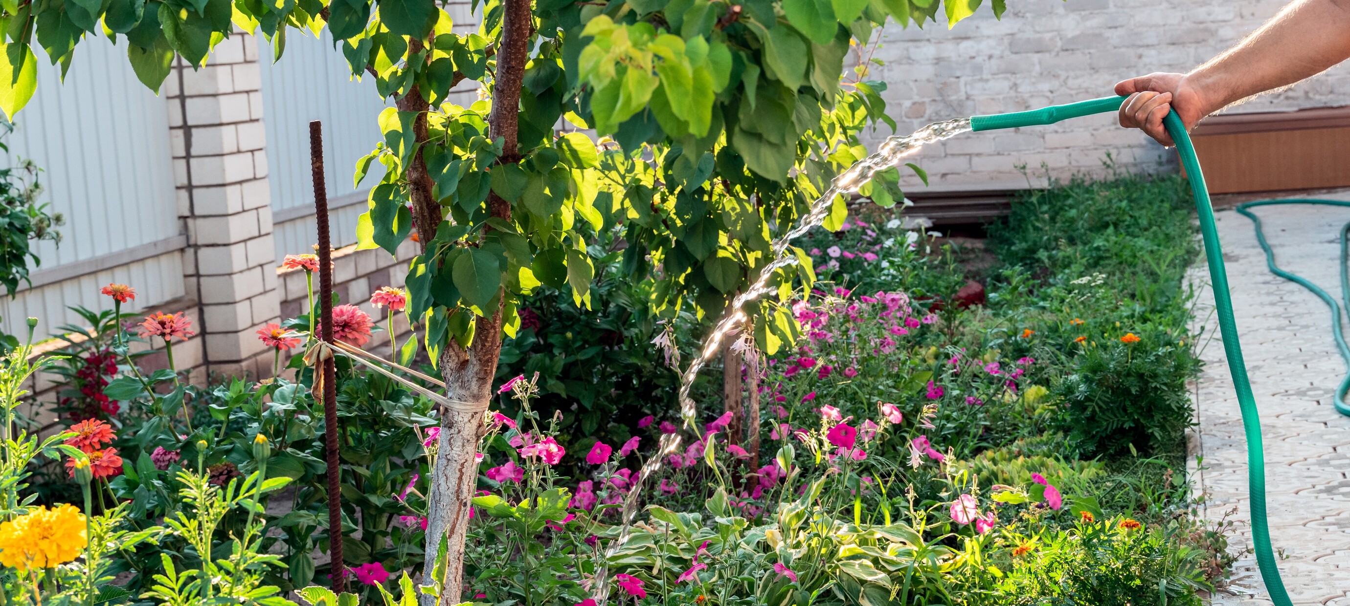 De top 5 bomen voor extra biodiversiteit in je tuin