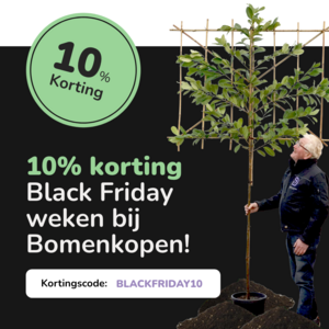 BlackFriday weken 