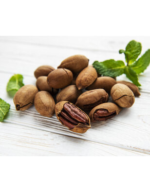 Pecanboom – Carya illinoinensis 'Desirable'