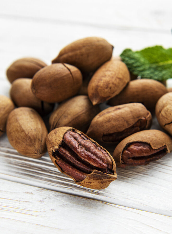 Pecanboom – Carya illinoinensis 'Desirable'