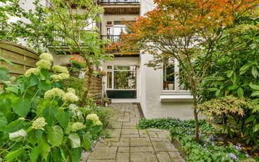 Koel je tuin met bomen!