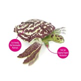 Build Your Own: Mini Builds - Hawksbill Turtle - Kartonnen bouwset