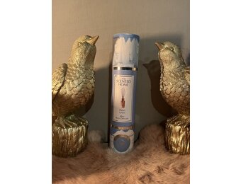 Ashleigh & burwood geurstokjes fresh linnen 50ml