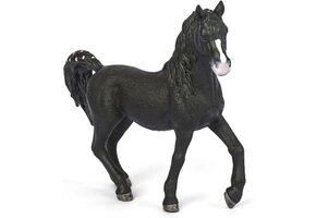 Schleich 72134 Arabische Hengst
