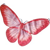 Ginger Ray Vlindervleugels