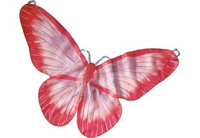 Ginger Ray Vlindervleugels