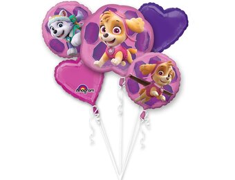 PAW Patrol - Ballon - Folie - Skye & Everest - Roze - 68 cm - 5 stuks