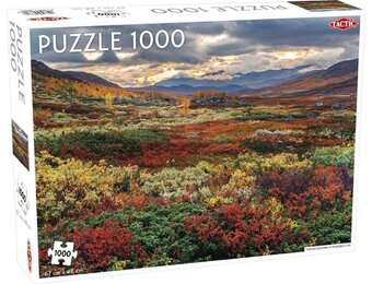 Tactic Indian Summer in Norrbotten – Puzzel – 1000 stukjes – Scandinavische Herfstnatuur – Strak en Rustgevend Ontwerp – Hoogwaardige Scandinavische Kwaliteit