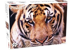 Tactic Tiger – Puzzel – 1000 stukjes – Krachtig Wild Dier – Strak en Rustgevend Ontwerp – Hoogwaardige Scandinavische Kwaliteit