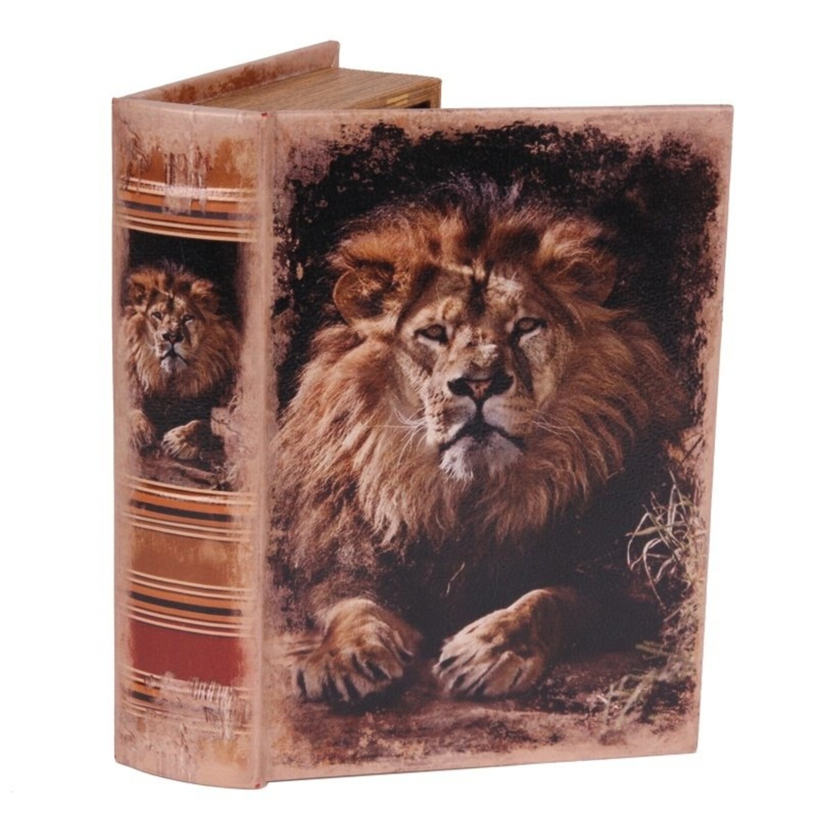 Dutch & Style Boîte livre 23 cm lion