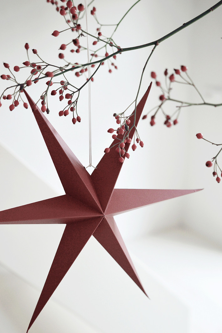 DELIGHT DEPARTMENT  Rusty Red Paper Stars