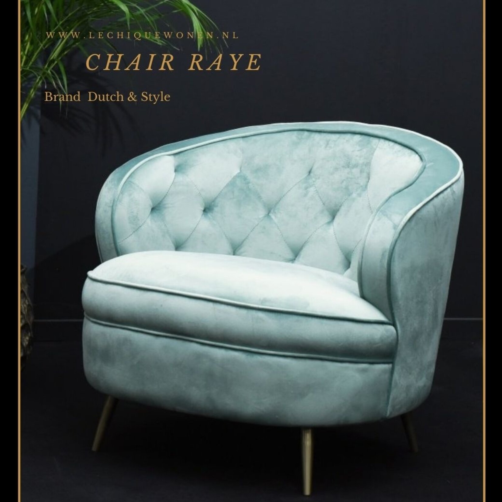 Dutch & Style Fauteuil Raye