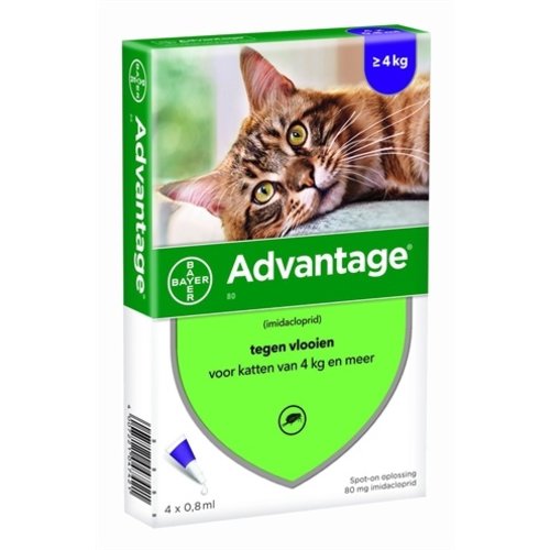 Bayer Bayer advantage kat 4 pipetten Bayer Bayer advantage kat 4 pipetten
