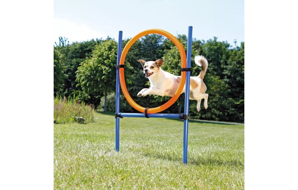 Honden behendigheidsring 115x3 cm plastic 3208