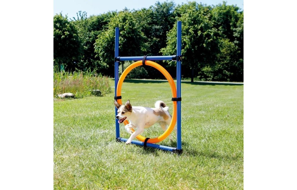 Honden behendigheidsring 115x3 cm plastic 3208