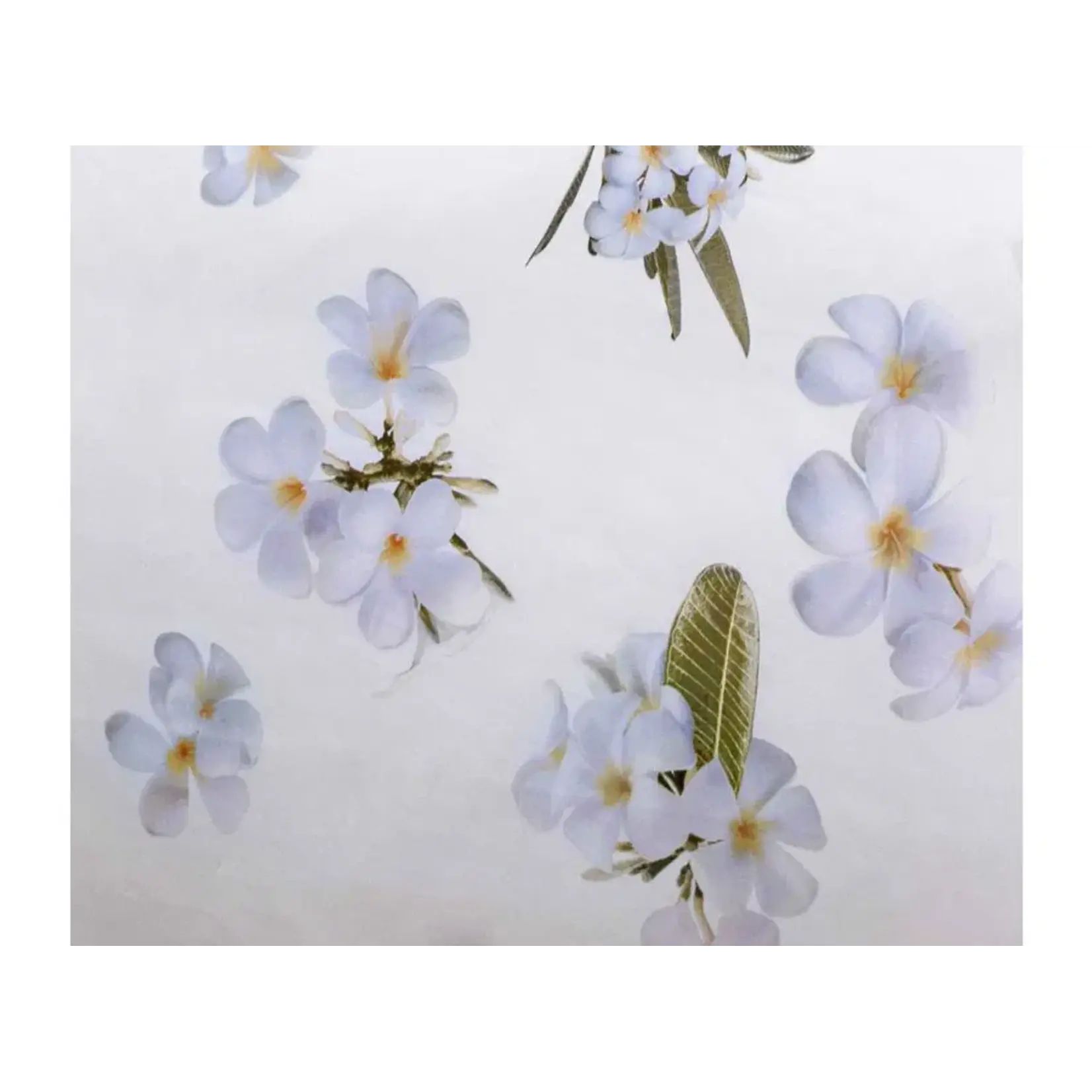 Signoria Dekbedovertrek Signoria Frangipani White